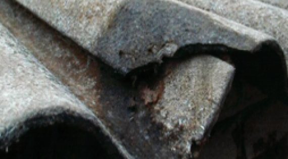 Asbestos Removal